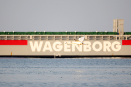 Wagenborg published 2020 Sustainability report