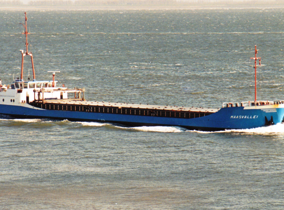 Maasvallei 1984