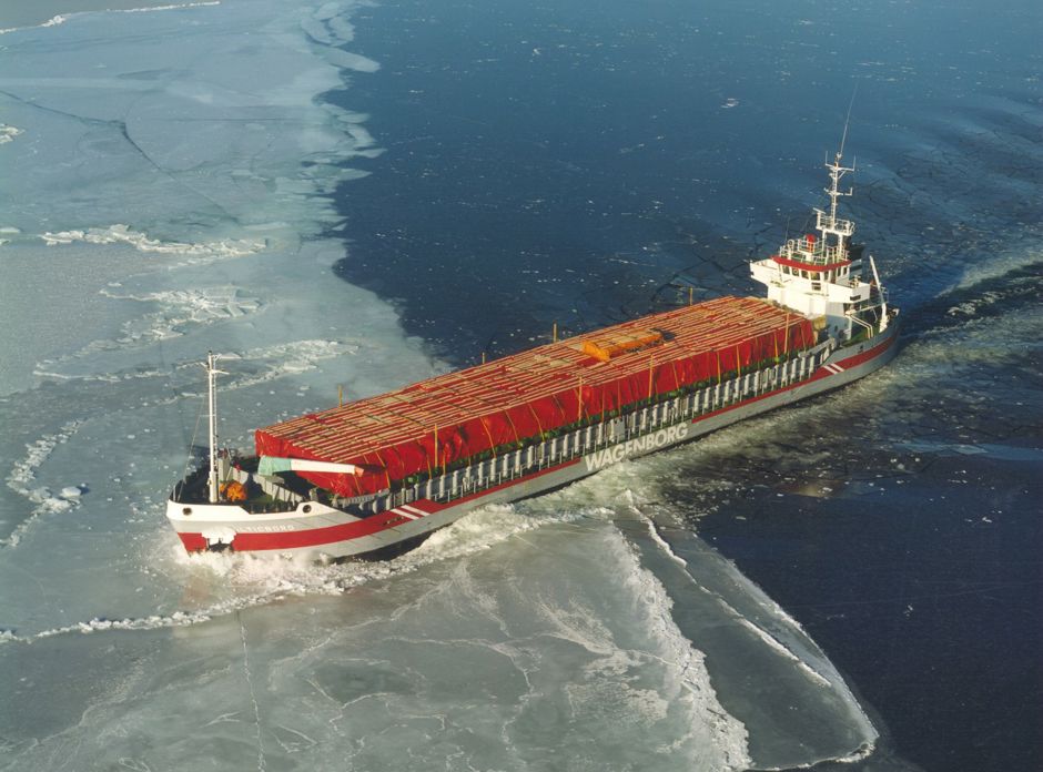 Balticborg 1991 (1)