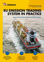 #3: Emission Trading System in practice