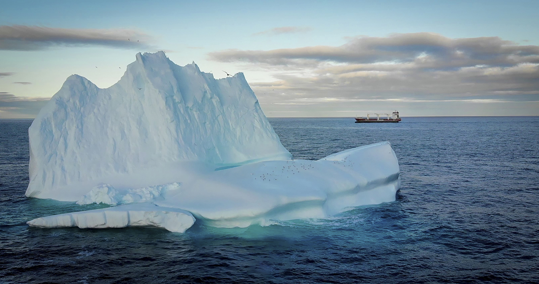 Andesborg Iceberg