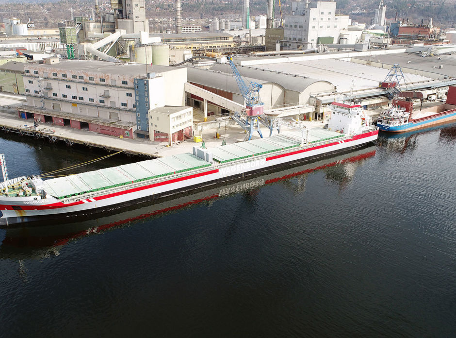 Finnborg 1
